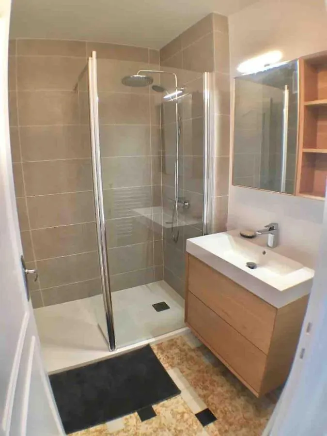 Annecy Center 2 Steps From The Lake Cozy And Renovated!